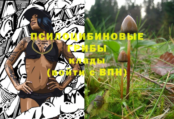 бошки Алзамай