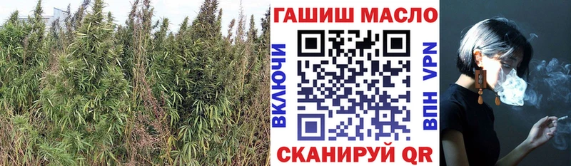 где можно купить   Лагань  ТГК вейп с тгк 